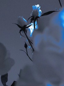若夢(mèng)—秋