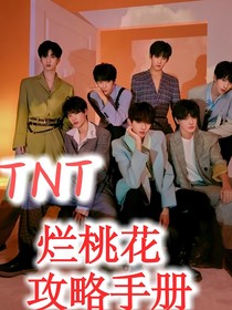 TNT：烂桃花攻略手册