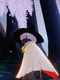 光遇：他的光