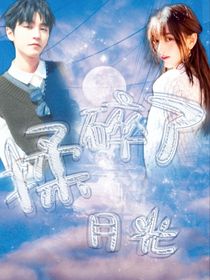 揉碎了月光