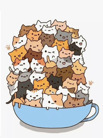 猫猫那些事