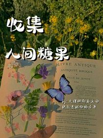 收集人间糖果