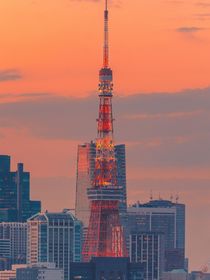 柏汐