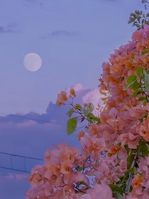 我愛驕陽