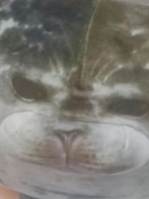 魔鬼没有脚步声——星火计划