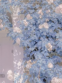 檐上星