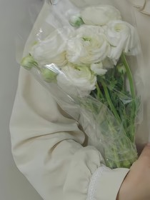 相思落日