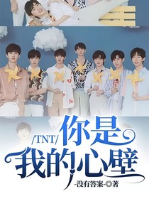 TNT：你是我的心壁（穿書(shū)指南）