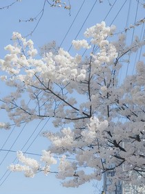 重生后的我獲得了永恒？