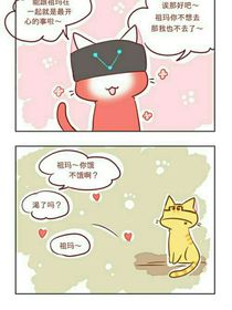 我家养了几只猫——d675