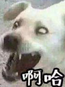 关于游戏中的一二事