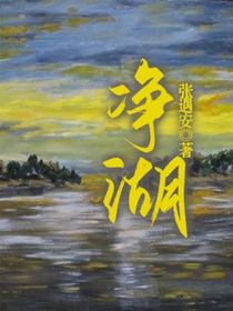 净湖