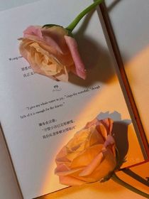 慕長(zhǎng)安念故里