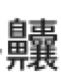 作者前言