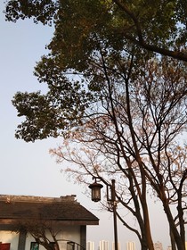 快穿：炮灰女二的我瑟瑟发抖