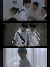 文哥，轻点宠