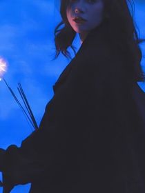 作者大大（我）