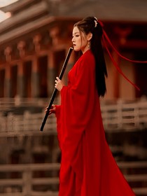 將軍，本王有禮了