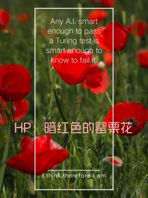 HP：暗红色的罂栗花