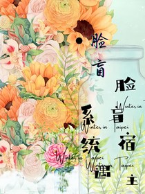 脸盲系统遇脸盲宿主