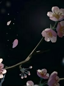 进行记-d059