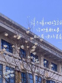书名正在修改1650703574900403851