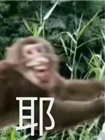 大大的快乐