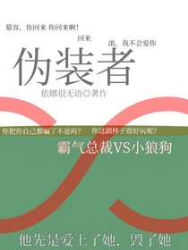 ——偽裝者——