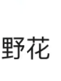 暗夜小队