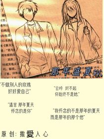那年盛夏sy