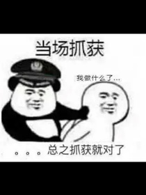 还就呢个爱写书