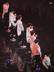 TF家族：师妹的心归我