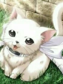 猫的森林（2）