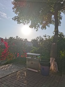 花开花落皆于此