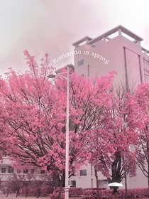 南之向阳