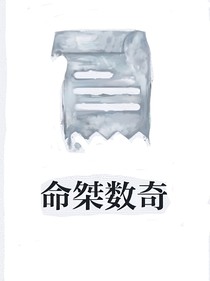 命桀数奇