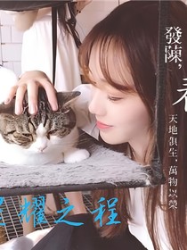 星耀之程