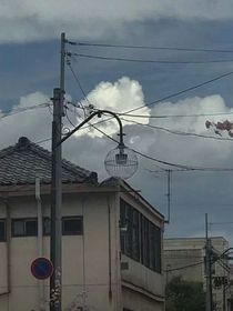 心灵鸡汤！