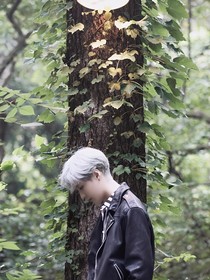 张艺兴：我们顶峰相见
