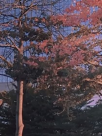 我梦见我梦见你的那天