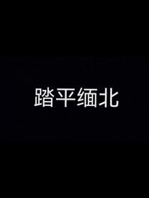 踏平緬北