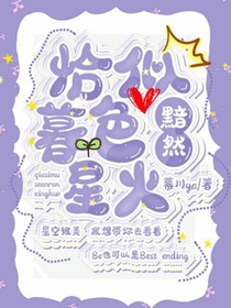 恰似暮色黯然星火