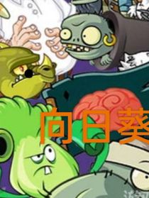 主角——向日葵