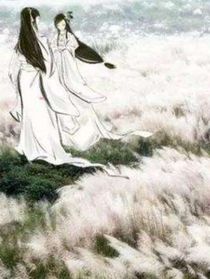 静女改编