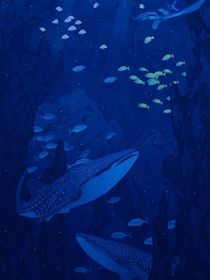 文軒：海世界