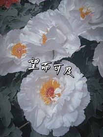 望而可及