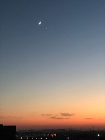 不知道叫什么名字的校园文