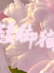 矮腳貓