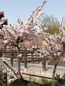 转来转去依旧是你