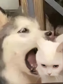 私心和占有欲